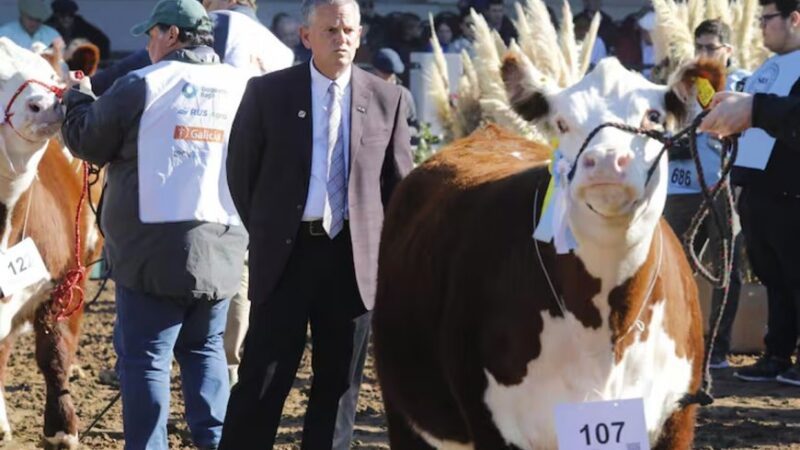 Vaquillona entrerriana se ganó el mote de “Única” en la muestra rural de Palermo