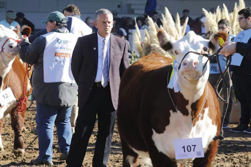 Vaquillona entrerriana se ganó el mote de “Única” en la muestra rural de Palermo