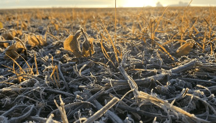 Anuncian otra ola de frío en Entre Ríos: pronostican hasta 2°.