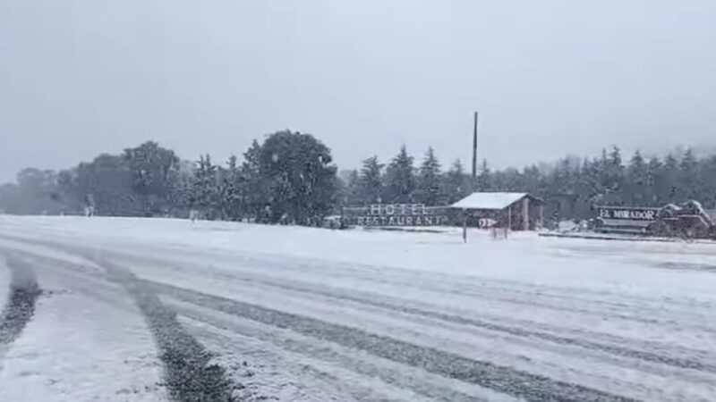 Otro efecto de la ciclogénesis: hubo una fuerte nevada en la provincia de Buenos Aires