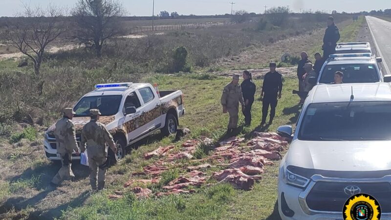 GUALEGUAYCHÚ ABIGEATO EN FLAGRANCIA – DETIENEN A DOS PERSONAS SECUESTRAN 1500 KG DE CARNE VACUNA, UNA TOYOTA HILUX, $250.000, LUEGO DE UNA PERSECUCIÓN POR TIERRA Y CON HELICÓPTERO DE APOYO