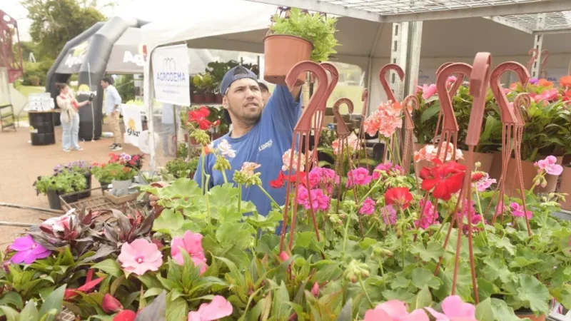 Congreso Nacional de Horticultura: cultivos orgánicos y bioinsumos muestran su proyección de crecimiento