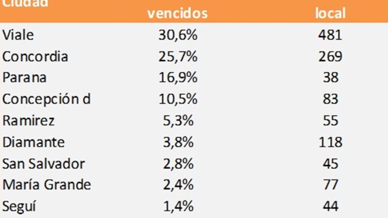 Más de 3.100 productos vencidos fueron retirados de la venta en Entre Ríos