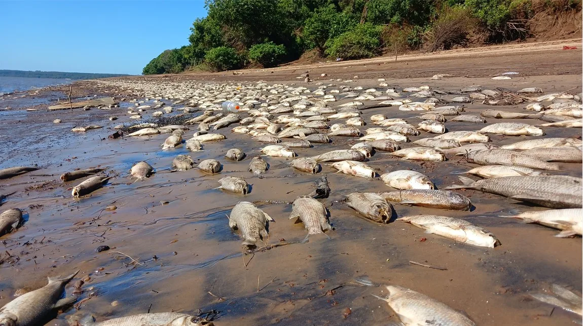 Destrucción Ambiental: La Tragedia Silenciosa del Arroyo Yuquerí Grande