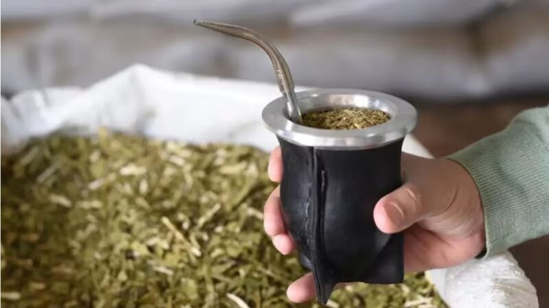 Día Nacional del Mate: por qué se celebra el 30 de noviembre y los secretos para preparar uno perfecto