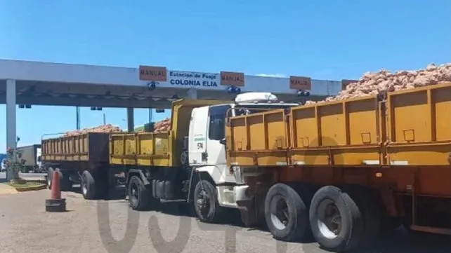 Autovía Artigas: un empleado de Vialidad murió tras un accidente cerca de Colonia Elía