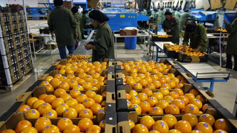 Argentina podrá exportar citrus a Ecuador