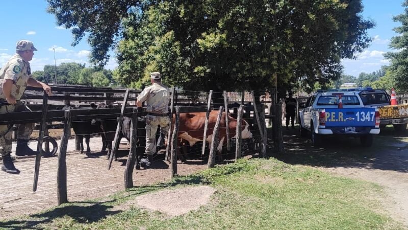 VICTORIA – FRUSTRARON IMPORTANTE ROBO DE HACIENDA