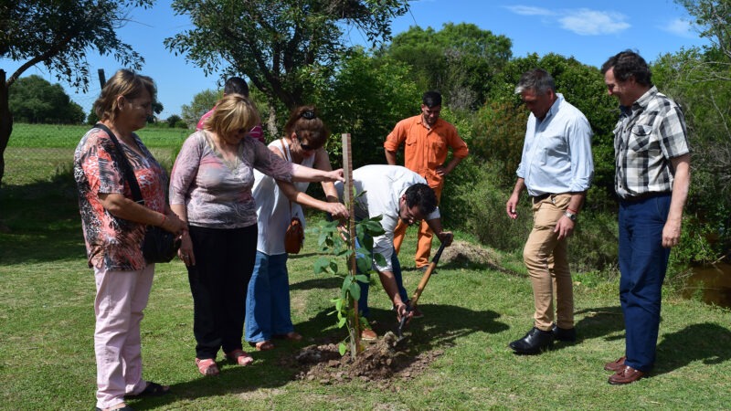 Entre Ríos realiza acciones para compensar emisiones de Carbono