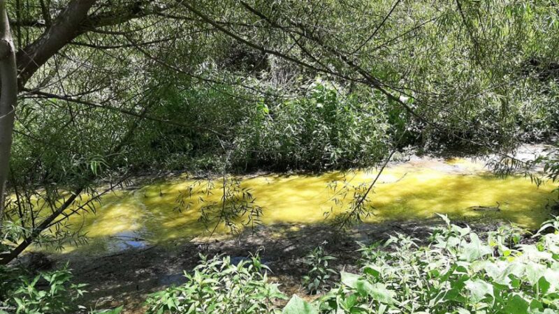 Informe técnico revela alta contaminación en el Yuquerí Chico por los efluentes que vuelca una empresa