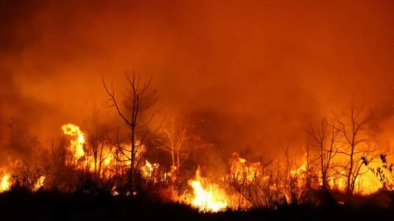 La impactante cantidad de hectáreas arrasadas por el fuego en Corrientes