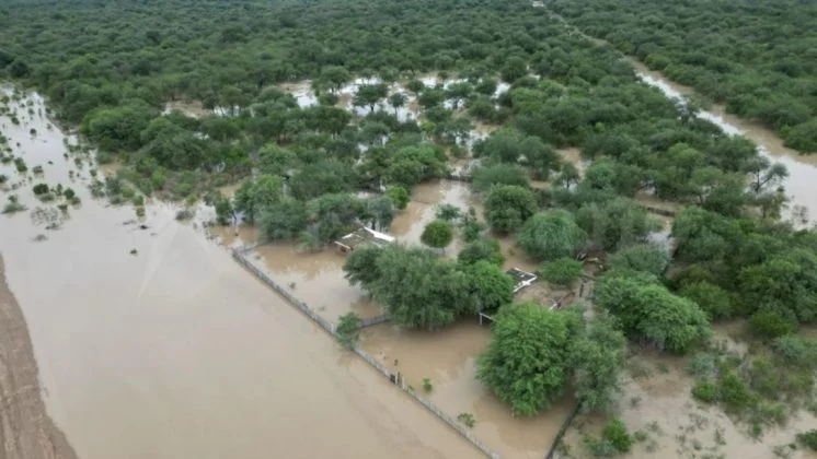 Preocupación por la crecida del río Pilcomayo en Salta: casas destrozadas y más de mil evacuados