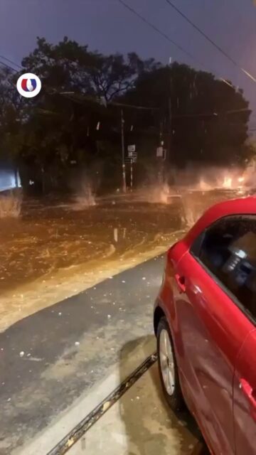 GRANIZO CAUSA DESTROZOS EN VARIAS ZONAS 🧊
➡️ La intensa caída de granizo dejó importantes daños materiales en distintos sectores.
➡️ Techos perforados, vidrios rotos, parabrisas dañados y vehículos con fuertes abolladuras forman parte del panorama registrado tras el temporal.#AnalisisLitoral, #Inundaciones, #Temporal, #Emergencia, #Clima, #EntreRios, #Concordia, #LitoralArgentino, #SantaFe, #Argentina, @eloncecom, @elentrerios, @diarioriouruguay, @rosariotres, @diariolacapital, @todonoticias, @infobae, @clarincom, @lanacion, @prefecturanavalarg